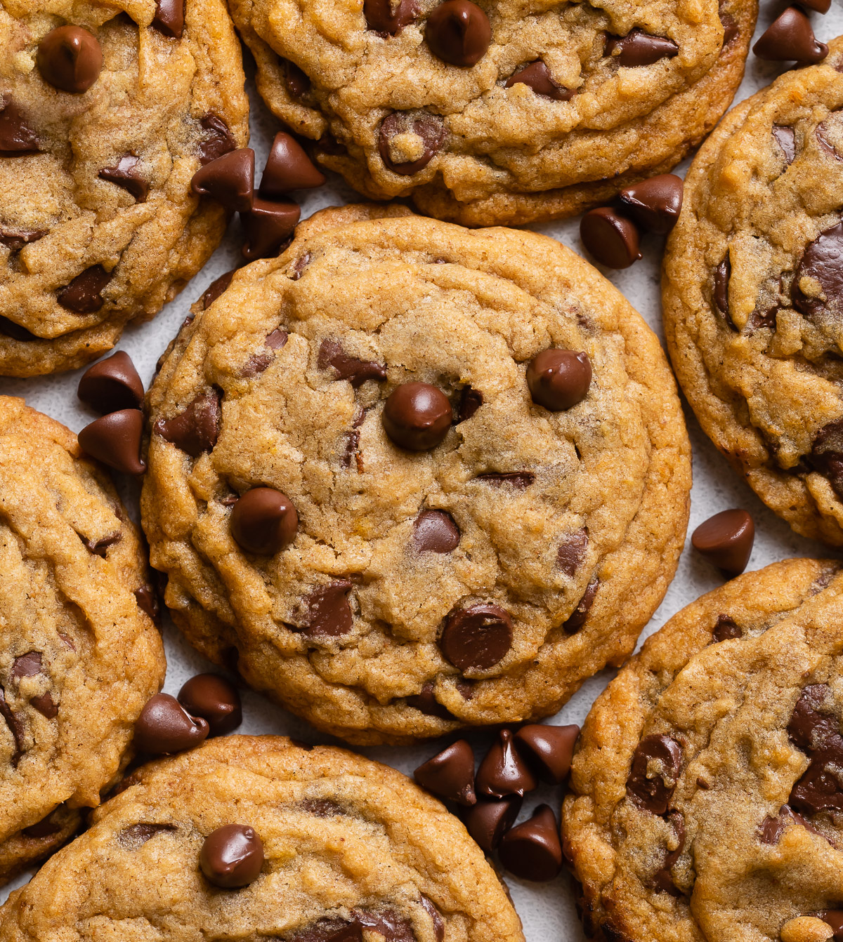 Chewy Pumpkin Chocolate Chip Cookies - Browned Butter Blondie